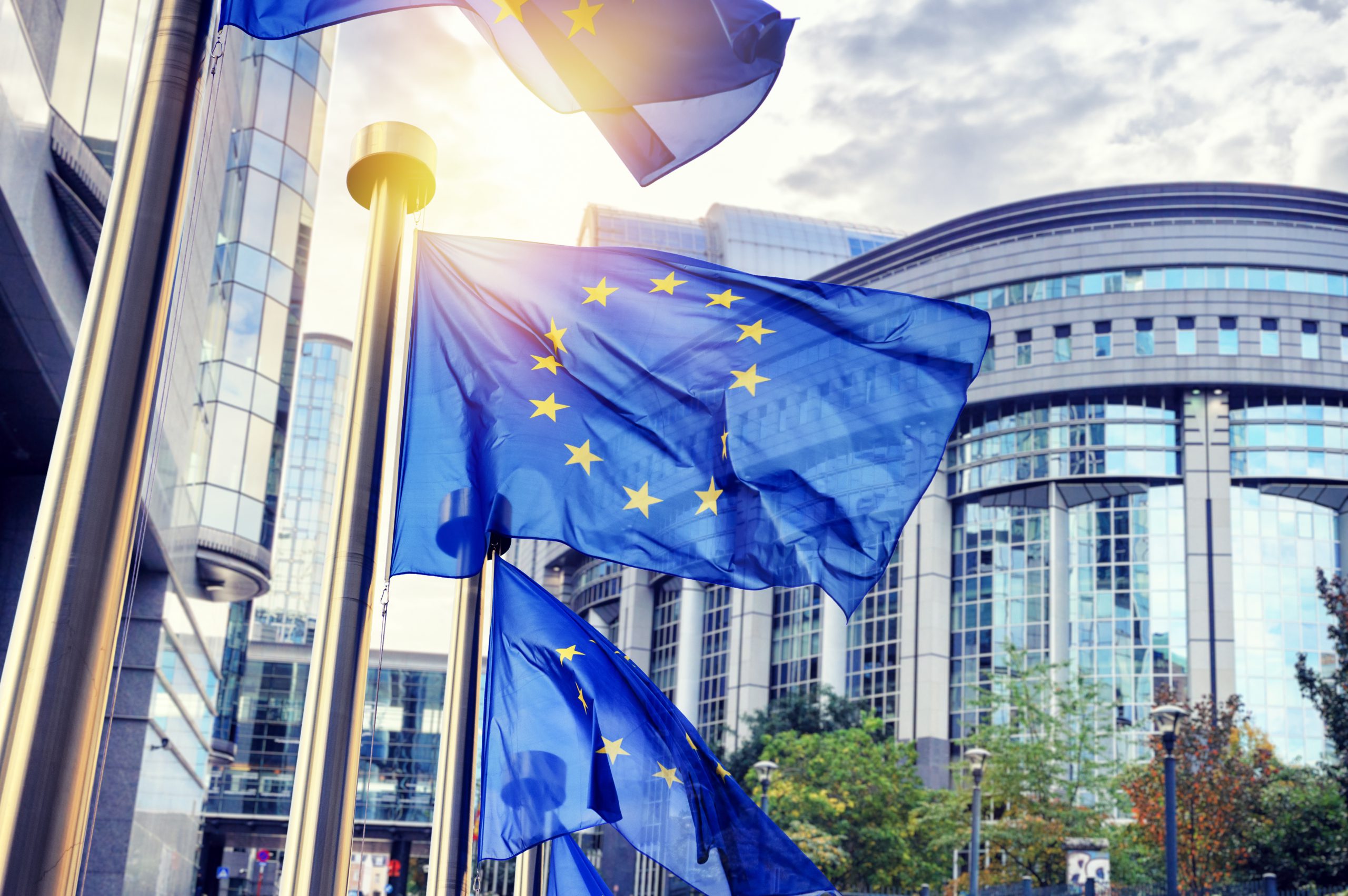 EU flags waving in front of European Parliament building. Brussels, Belgium